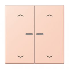 Taustiņs KNX slēdzim ar indikācijas logu un virzienrādītāju 2-viet, Serie LS, l'ocre rouge clair