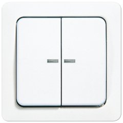 Taustiņs 2-viet ar indikācijas logu, duroplasts, ST 550, balts