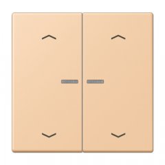 JUNG HOME taustiņš 2-viet, ar bultiņu simboliem<br />
, Serie LS, terre sienne claire 31