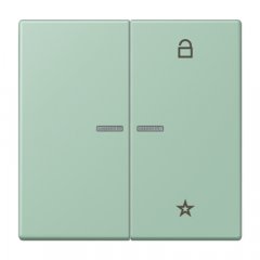 eNet taustiņš unversālais 2-viet, duroplasts, Serie LS, vert anglais clair