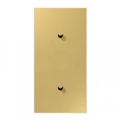 Virsma slēdžiem, 2-viet, 2 x 1 rotācijas slēdzis, vertikāli montējams, Serie LS 1912, misiņš