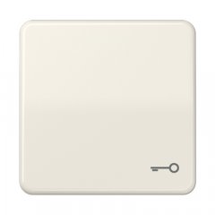 Taustiņš, ar simbolu, termoplasts, Serie CD, ziloņkaula