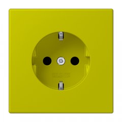 Kontaktligzda SCHUKO, 16 A 250 V ~, ar bērnu drošību, Serie LS, vert olive vif