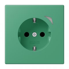 Kontaktligzda JUNG HOME SCHUKO, 16 A 250 V ~, skrūvju spailes, ar indikātoru un bērnu drošību, termoplasts krāsots