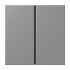 Taustiņs 1-viet, F40, Serie LS, gris 31