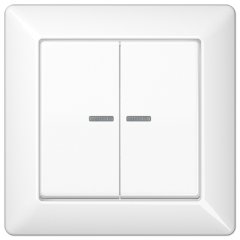 Taustiņs 2-viet ar indikācijas logu, ar rāmi, duroplasts, Serie AS, balts