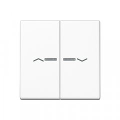 Taustiņs 2-viet ar indikācijas logu un virzienrādītāju, termoplasts, Serie A, balts