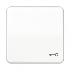 Taustiņš, ar simbolu, termoplasts, Serie CD, balts