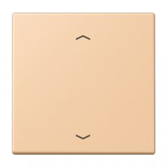 Taustiņs 1-viet, ar virzienrādītāju, Serie LS, terre sienne claire 31