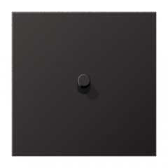 Virsma slēdžiem, 1-viet, 1 cilindrisks rotācijas slēdzis, Serie LS 1912, tumša (lackiertes Aluminium)