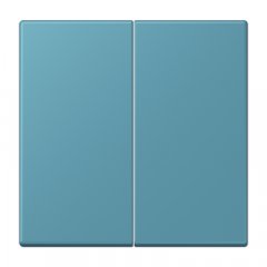 LB-Management taustiņš 2-viet, duroplasts krāsots, Serie LS, céruléen vif