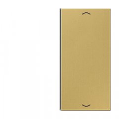 Taustiņs slēdzim 2-viet, ar virzienrādītāju, F40, Serie LS, misiņš