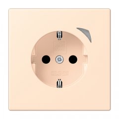 Kontaktligzda JUNG HOME SCHUKO, 16 A 250 V ~, skrūvju spailes, ar indikātoru un bērnu drošību, termoplasts krāsots