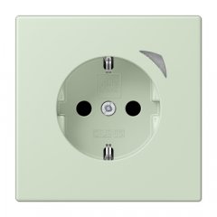 Kontaktligzda JUNG HOME SCHUKO, 16 A 250 V ~, skrūvju spailes, ar indikātoru un bērnu drošību, termoplasts krāsots