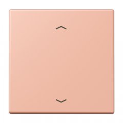 Taustiņs 1-viet, ar virzienrādītāju, Serie LS, rose clair