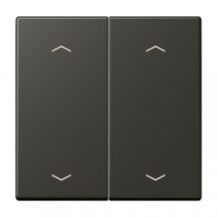 Taustiņs KNX slēdzim, ar virzienrādītāju 2-viet, Serie LS, ombre naturelle 59