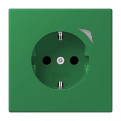 Kontaktligzda JUNG HOME SCHUKO, 16 A 250 V ~, skrūvju spailes, ar indikātoru un bērnu drošību, termoplasts krāsots