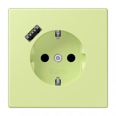 Kontaktligzda SCHUKO 16 A 250 V ~, USB pieslēgvieta 1 x Typ A, ar bērnu drošību, Serie LS, vert jaune clair