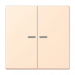 JUNG HOME taustiņš 2-viet, Serie LS, terre sienne pâle