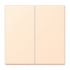 Taustiņs KNX slēdzim  2-viet, Serie LS, terre sienne pâle