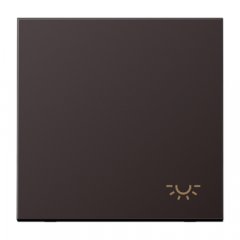 Taustiņs 1-viet, ar spuldzes simbolu, alumīnijs krāsots, Serie LS, tumša (lakots alumīnijs)