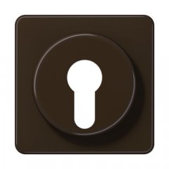 Virsma slēdzim ar atslēgu, termoplasts, Serie CD, brūns
