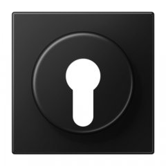 Virsma slēdzim ar atslēgu, termoplasts lakots, Serie LS, grafīta melns matēts