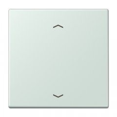 Taustiņs 1-viet, ar virzienrādītāju, Serie LS, céruléen pale