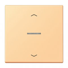 JUNG HOME taustiņš 1-viet, ar bultiņu simboliem<br />
, Serie LS, terre sienne claire 59