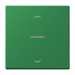 JUNG HOME taustiņš 1-viet, ar bultiņu simboliem<br />
, Serie LS, vert foncé