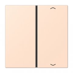 Taustiņs slēdzim 1-viet, ar virzienrādītāju, F40, Serie LS, rose pâle