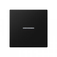 JUNG HOME taustiņš 1-viet, termoplasts krāsots, Serie A, grafītmelns matēts