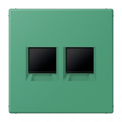 Virsma (ar fiksatoru) modulārai datu rozetei 2-vietīga, UMA-CAT6A, termoplasts lakots, Serie LS, vert 59