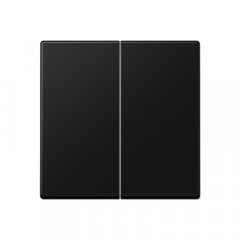 Taustiņs KNX slēdzim 2-viet, termoplasts, Serie A, grafīta melns matēts