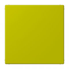 Nosedzošais vāks (tukša virsma), termoplasts lakots, Serie LS, vert olive vif