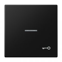 Taustiņš ar indikācijas logu, ar simbolu, Serie LS, grafīta melns matēts