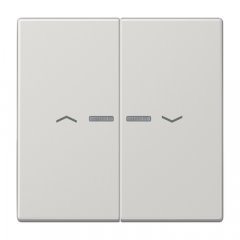 Taustiņs 2-viet ar indikācijas logu un virzienrādītāju, duroplasts, Serie LS, gaiši pelēks