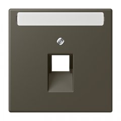 Virsma IAE/UAE-datu rozetei 1 x 8-polig, marķējams, termoplasts lakots, Serie LS, ombre naturelle 31