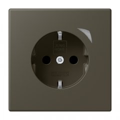 Kontaktligzda JUNG HOME SCHUKO, 16 A 250 V ~, Energy, skrūvju spailes, ar indikātoru un bērnu drošību, termoplasts