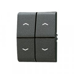 Taustiņs 2-viet, ar virzienrādītāju, termoplasts, WG 800, antracīts