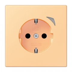 Kontaktligzda JUNG HOME SCHUKO, 16 A 250 V ~, skrūvju spailes, ar indikātoru un bērnu drošību, termoplasts krāsots