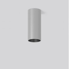 HELEDON mini, 29 W, 3150 lm, 930, silver, on/off Surface mounted downlights, D 87 H 197, 20°