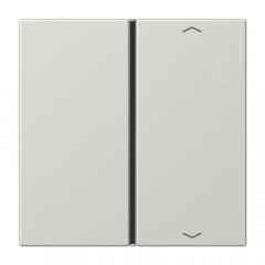 Taustiņs slēdzim 1-viet, ar virzienrādītāju, F40, Serie LS, gaiši pelēks