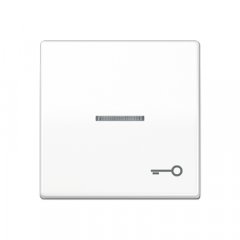 Taustiņš ar indikācijas logu, ar simbolu, duroplasts antibakteriāls, Serie AS, balts