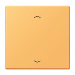 Taustiņs 1-viet, ar virzienrādītāju, Serie LS, ocre jaune clair