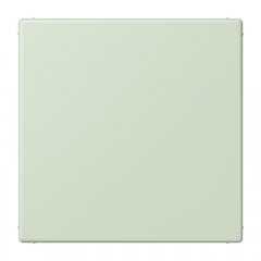 Nosedzošais vāks (tukša virsma), termoplasts lakots, Serie LS, vert anglâis pale