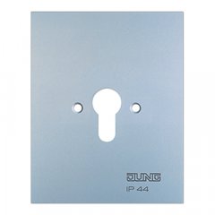 Virsma metāla 125 x 100 mm, bez simboliem, WG 800, Alu matt