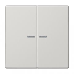 Taustiņs KNX slēdzim ar indikācijas logu 2-viet, duroplasts, Serie LS, gaiši pelēks