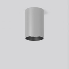 HELEDON maxi, 33 W, 1900 lm, meat +, silver, on/off Surface mounted downlights, D 123 H 183, 17°