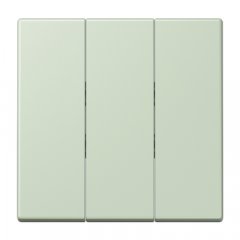 Taustiņs 3-viet, termoplasts lakots, Serie LS, vert anglâis pale